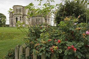 &copy;NTPL/Paul Harris