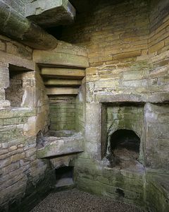 &copy;NTPL/Nick Meers