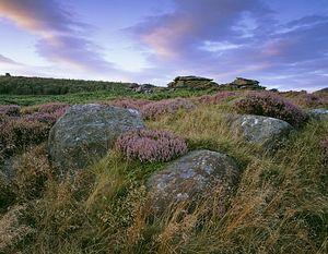 &copy;NTPL/Joe Cornish