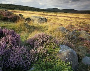 &copy;NTPL/Joe Cornish