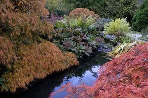 &copy;NTPL/Val Corbett