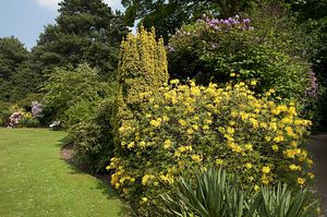 &copy;NTPL/Paul Harris