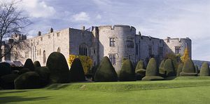 &copy;NTPL/Stephen Robson