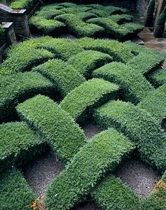 &copy;NTPL/Joe Cornish