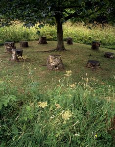 &copy;NTPL/Joe Cornish