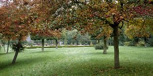 &copy;NTPL/Stephen Robson