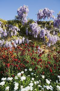 &copy;NTPL/Mark Bolton