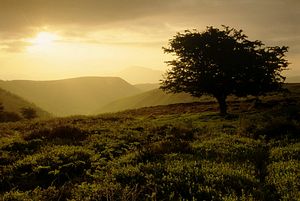 &copy;NTPL/David Noton