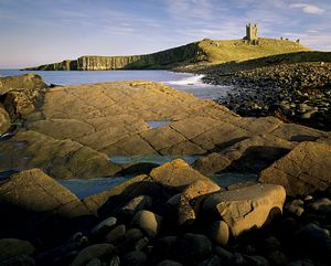 &copy;NTPL/Joe Cornish