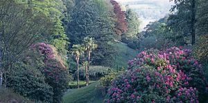 &copy;NTPL/Stephen Robson