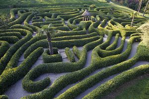 &copy;NTPL/Stephen Robson