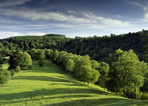 &copy;NTPL/Andrew Butler