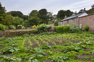 &copy;NTPL/Andrew Butler