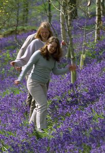 © NTPL/Leo Mason © NTPL/Leo Mason