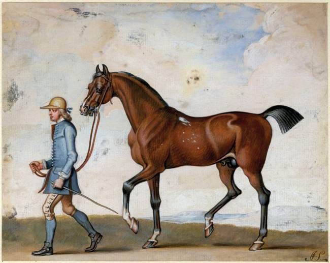 The Horse Copyright Trustees British Museum The Horse