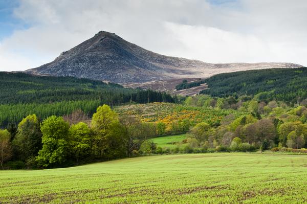 Goatfell seen from the field below
