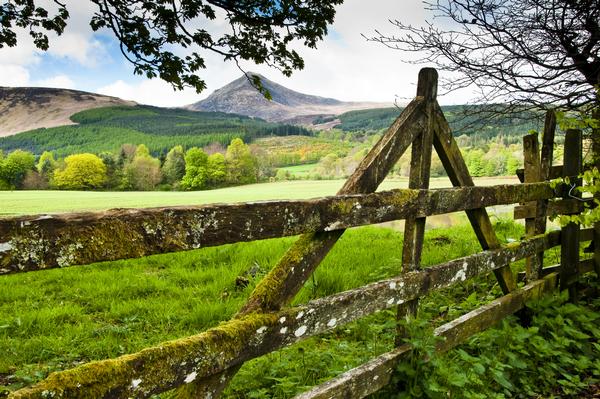 Gate with view to Goatfell on the Isle of Arren