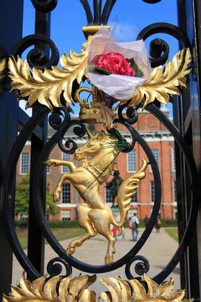 Rose placed in the Kensington Palace gates as a tribute to Diana, Princess of Wales