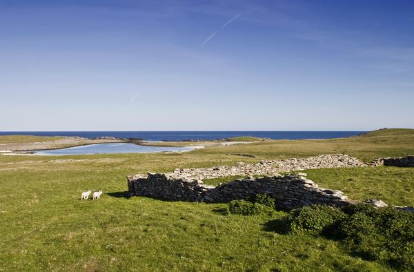 Heathland at the beach