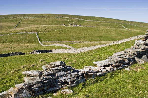 Stone wall near Mousa Broch
