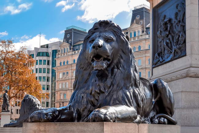 Trafalgar square lion