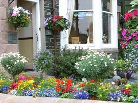 Blooming Lovely! award winning garden