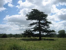 Countryside location