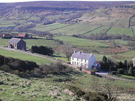 View of The Orange Tree