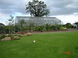 Our Glasshouse!