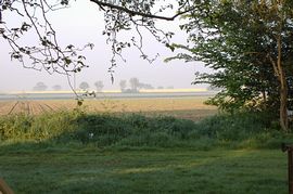 view from premier rooms