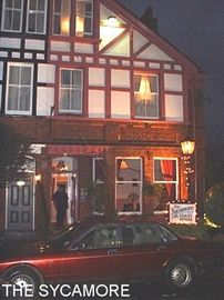 The Sycamore 