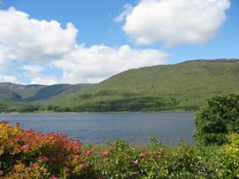 View from the Lounge/Dining Room