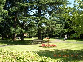 Front view over park