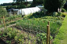 Organic Garden at Monkton