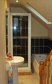 Guest Bathroom (for standard single rooms)