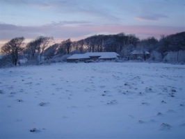 Top Parts in the snow but he B&B goes on...