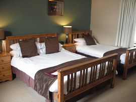 Family/Twin/Double Room