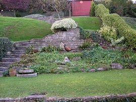 Back garden