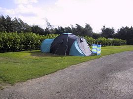 Tent Area