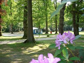 natural surroundings