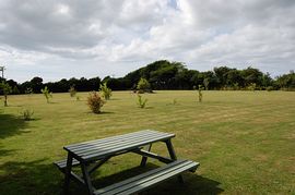 View of level pitches