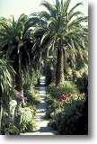 Tresco Abbey Gardens - Picture courtesy of www.britainonview.com