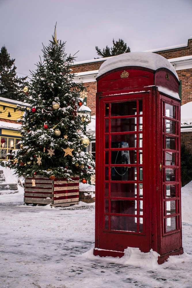 Daytime view Covent Garden Square with a huge Christmas tree in the centre, sitting in a barrel style bucket.