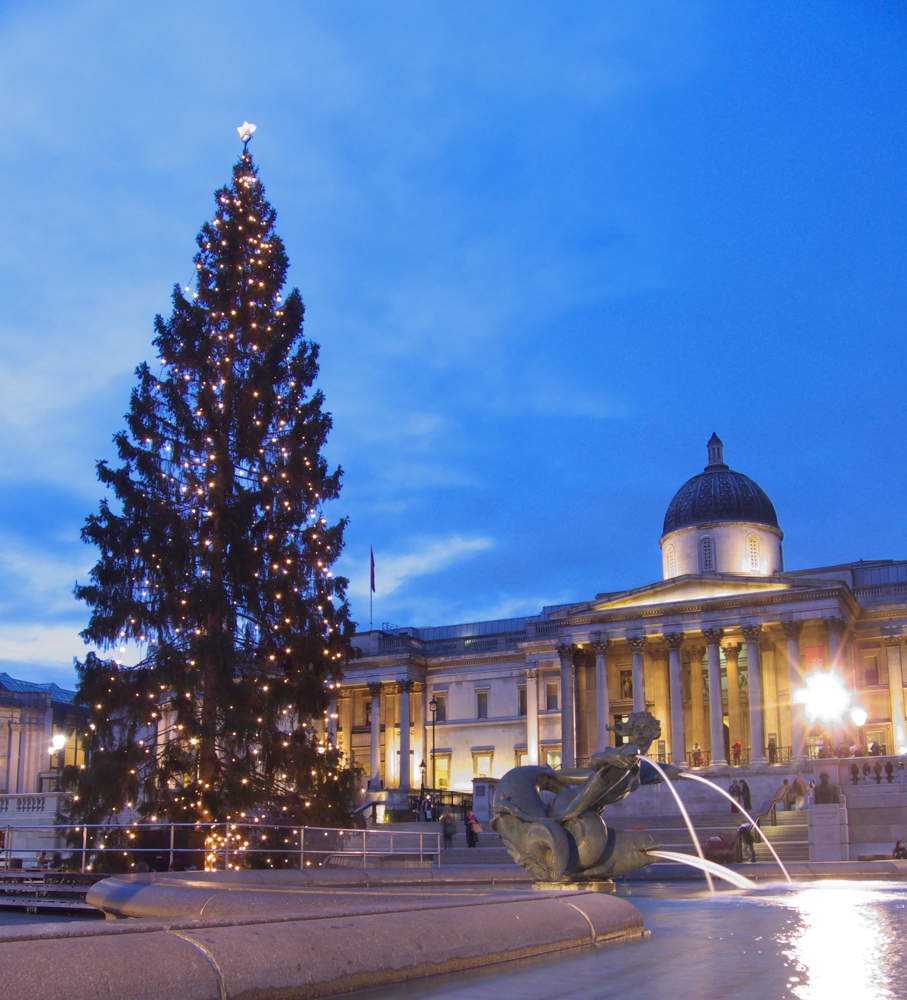 Huge Christmas tree with golden lights on at dusk, in front of large gallery building and fountains in the foreground