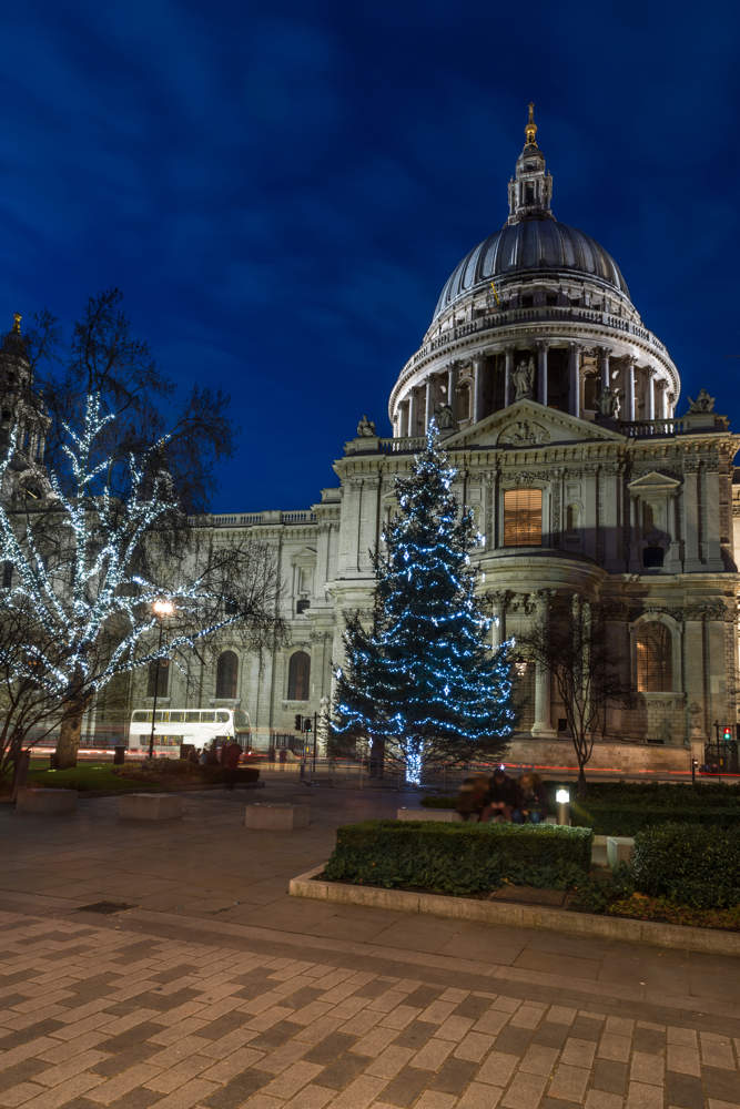Exterior of St Pauls Cathedral at night with illuminated Christmas tree in front.