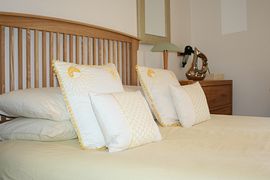 Master Bedroom with ensuite shower