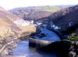 Turnstones - View of the cottages overlooking the harbour