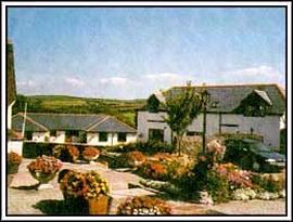 Trevalgas Cottages - Trevalgas Cottages