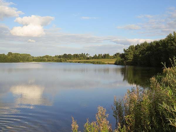 The Wagtail Local View