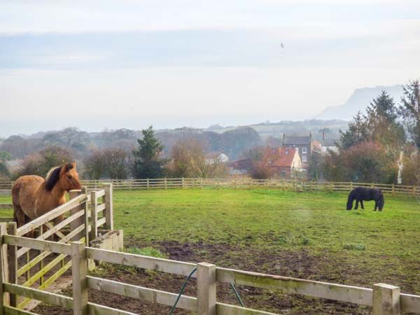 Stone Trough Cottage View